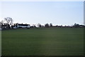 Field near Hampsthwaite