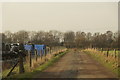 Track beside Wild Goose Slack, Simonswood Moss