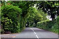 The road past Laneside Farm