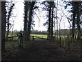 TQ0651 : Field entrance by Blakes Lane, East Clandon by David Howard