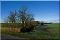 Catfoss Bridge