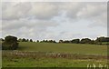 Farmland near Daddleford Bridge