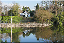SU9857 : The pond, Hook Heath Golf Course by Alan Hunt