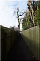 Public Footpath to Leven Lock