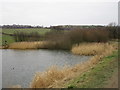 The head of Thrybergh Reservoir