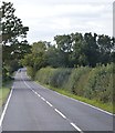 A268, Linkhill