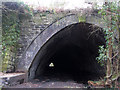 Tunnel portal near Treforest