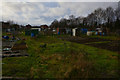 Bridgwater : Allotments