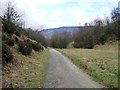 SK0697 : The Longdendale Trail near Reaps by Christine Johnstone
