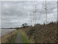 SX9981 : East Devon Way between Exe estuary and a boat storage yard by David Smith