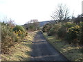 National Cycle Route 1 heading towards Ravenscar