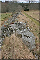 NO7294 : Tilquhillie Recumbent Stone Circle (2) by Anne Burgess