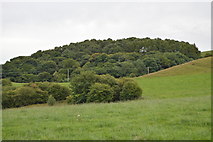 SK2163 : Harthill Moor Woods by N Chadwick