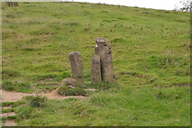 SK2163 : Three Stones by The Limestone Way by N Chadwick