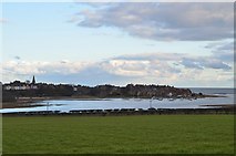 NU2410 : Alnmouth from the west by Jim Barton