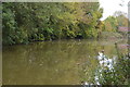 Winding hole, Kennet & Avon Canal