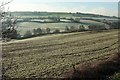 Wellow Brook valley