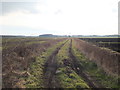 Path parallel to Dairy Farm Road, Rainford (Dead end)