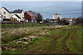 Bridgwater : Grassy Footpath