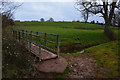 Bridgwater : Grassy Field & Footbridge