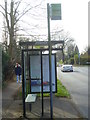 Bus stop on Crawley Road