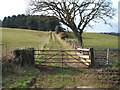 SE9997 : Gated farm track near Hayburn Beck Farm by JThomas