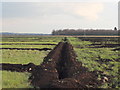 Field drainage work south of Dairy Farm Road