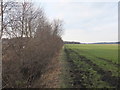 Edge of field towards Dairy Farm Road