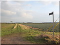 Path from Dairy Farm Lane to Inglenook Farm, Rainford