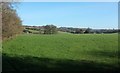 Field by the Fosse Way