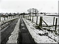 Snow and slush along a country road, Beragh