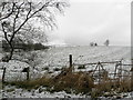 Wintry at Lisnagirr