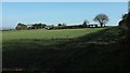 Towards Ashes Hill Farm