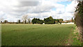 Cereal crop field by View Farm