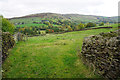 Path below White Knowl Farm