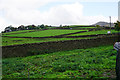 Fields above White Knowl Farm