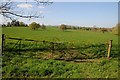 Farmland to the south of Redmarley D