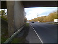 Looking northwards through bridge over A24