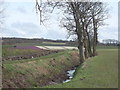 Farmland at Cut Lane