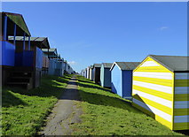 TR1167 : Terraces of beach huts on Tankerton Slopes by pam fray