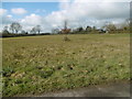 Looking across the green at North Green, Parham