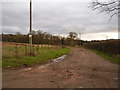 Footpath to Tortworth Arbouretum 