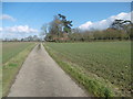 The road to South Elmham All Saints Church