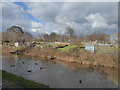 Allotments near the Canal