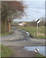 Junction of Fir Tree Lane and Small Lane, Clieves Hills