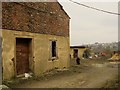 Stable yard at Wild Grove Farm