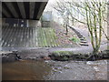 Steps to Houghtons Road from the River Tawd