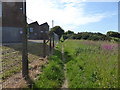 Anglesey Coast Path