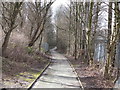 Path at Stanley, Skelmersdale