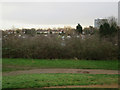 Allotments by Alexandra Millennium Green